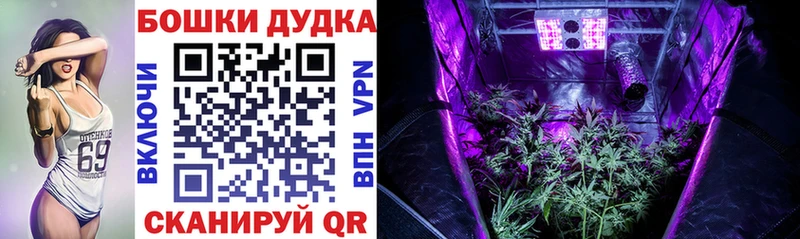 Бошки Шишки OG Kush  блэк спрут как войти  darknet формула  Лабытнанги 